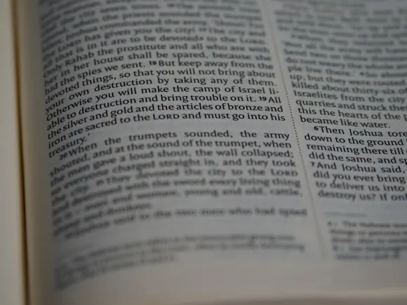 Kasino Grand Eagle Tuki